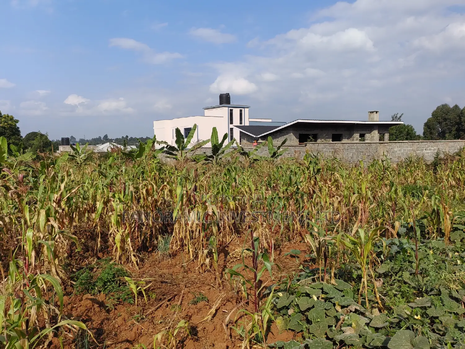 100 By100 Plot for Sale in Lusegetti Kikuyu Kiambu.