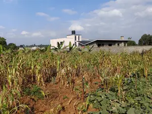 100 By100 Plot for Sale in Lusegetti Kikuyu Kiambu.