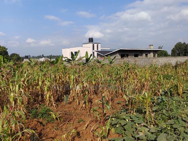 50by 100 Plot for Sale in Lusegetti Kikuyu Kiambu. - thumbnail 6