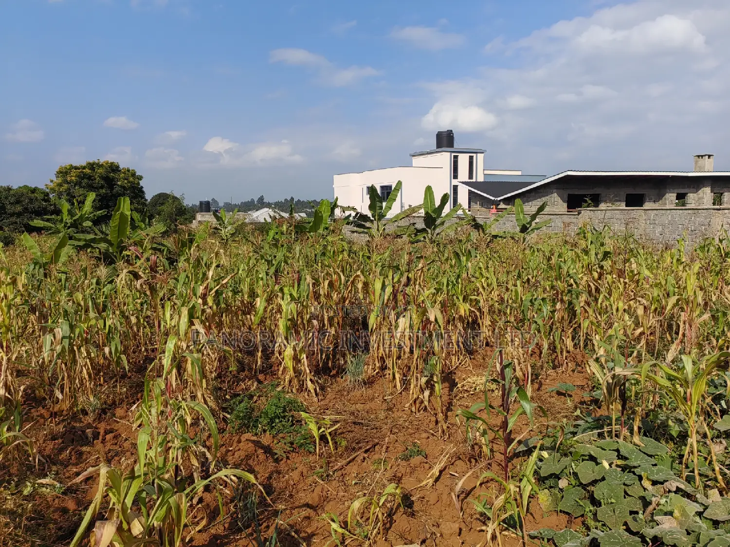 100 By100 Plot for Sale in Lusegetti Kikuyu Kiambu.