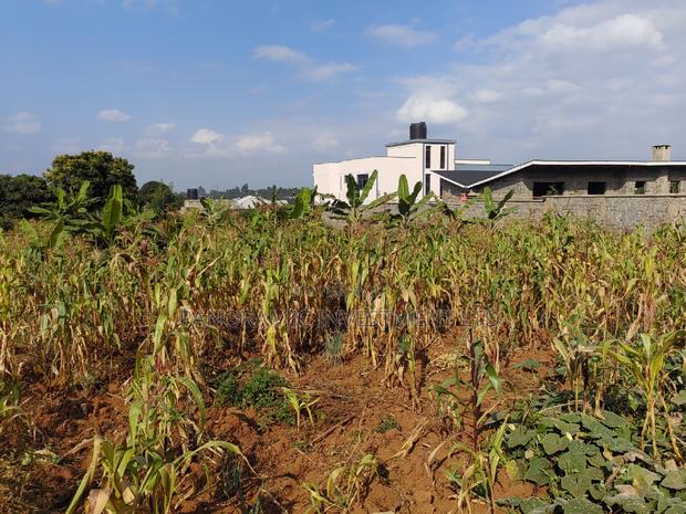 50by 100 Plot for Sale in Lusegetti Kikuyu Kiambu. - thumbnail 7