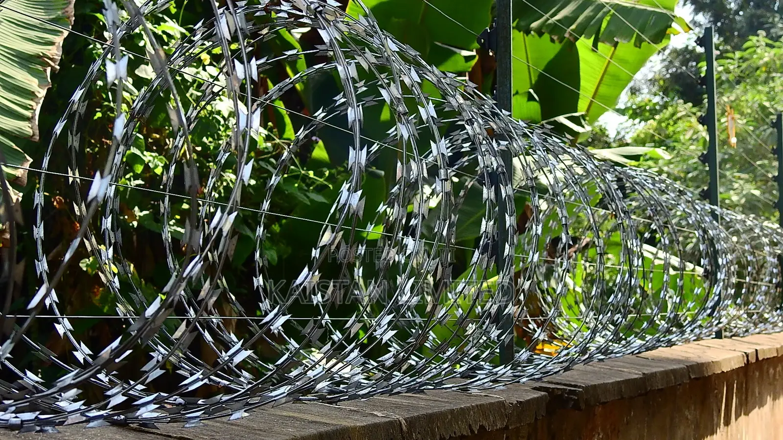Circular Razor Wire