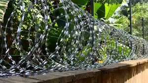 Razor Wire / Circular Wire