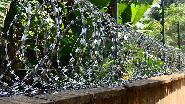 Razor Wire / Circular Wire - main view