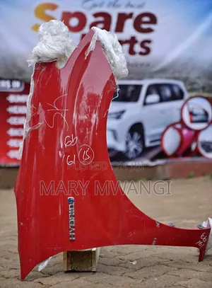 Ex Japan Fielder 161 Wing /Fender Available