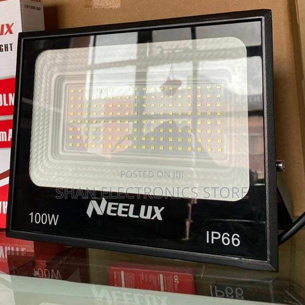 Neelux Outdoor Spotlight Landscape Light 100w Electric Light
