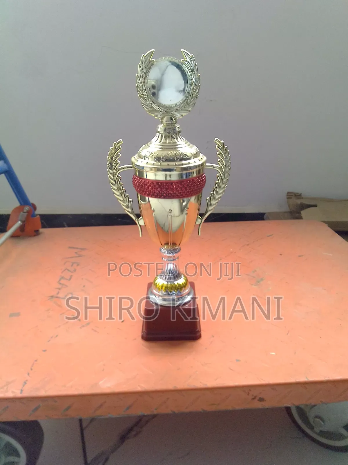  Custom Award Trophies – Perfect for Any Ceremony