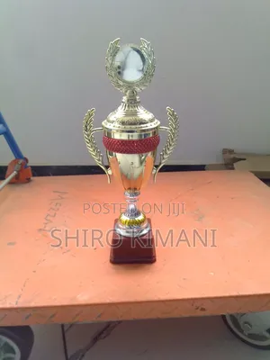  Custom Award Trophies – Perfect for Any Ceremony