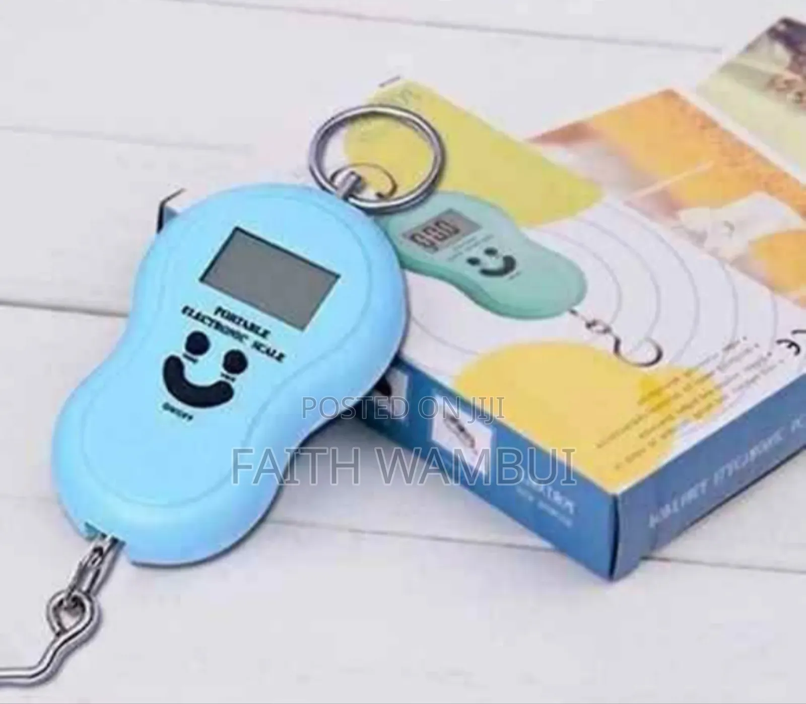 50kg Portable Weighing Scale Machine/Hanging Scale
