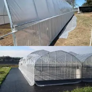 Chemical-Safe Hdpe Greenhouse Insect Netting (2.5m X 50m)