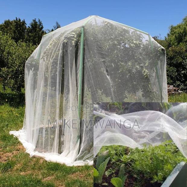 Premium Open-Field Greenhouse Insect Netting (2.5m X 50m)