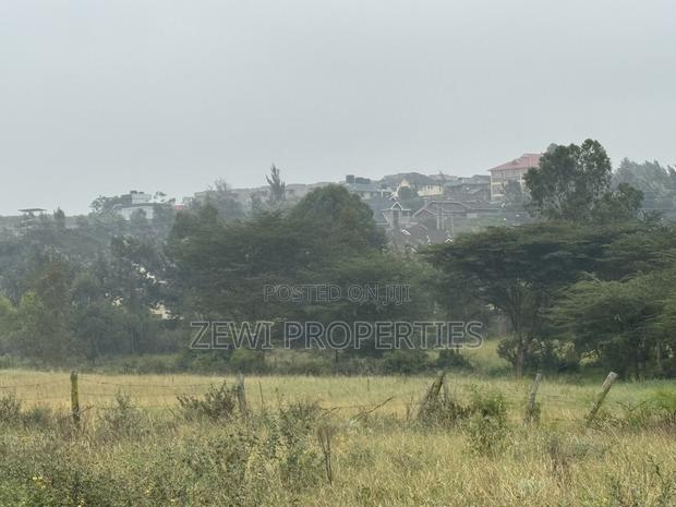 Quarter Kibiku - thumbnail 5