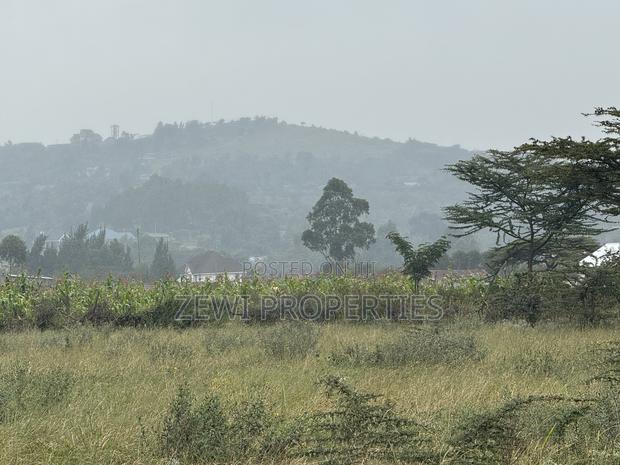 Quarter Kibiku - thumbnail 4