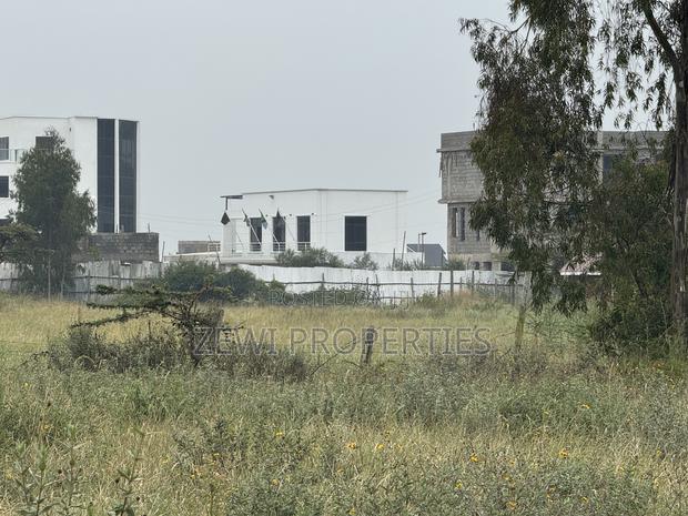 Quarter Kibiku - thumbnail 3