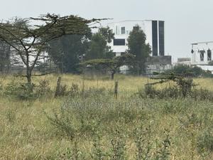 Quarter Kibiku - thumbnail 2