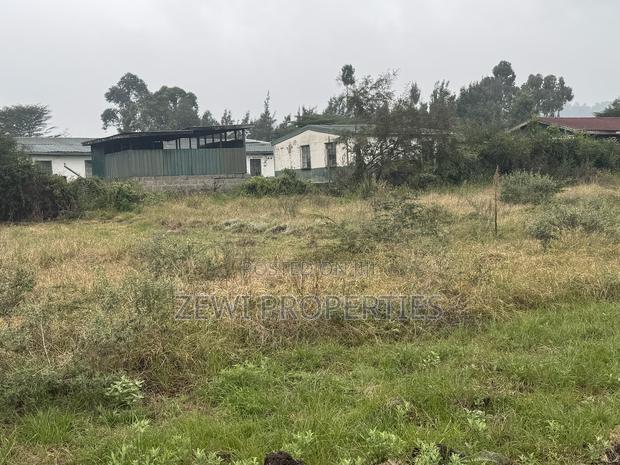 Quarter Kibiku - thumbnail 7