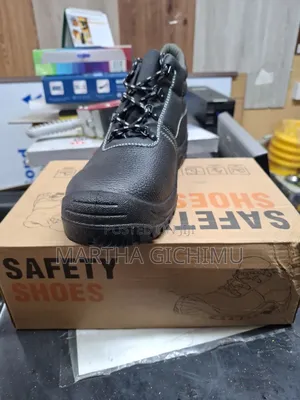 Safety Shoes/Safety Boot
