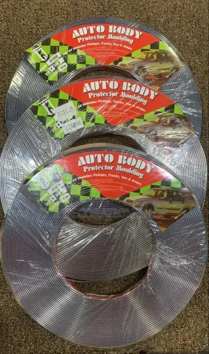 Different Sizes Car Exterior Protection Body Moulding