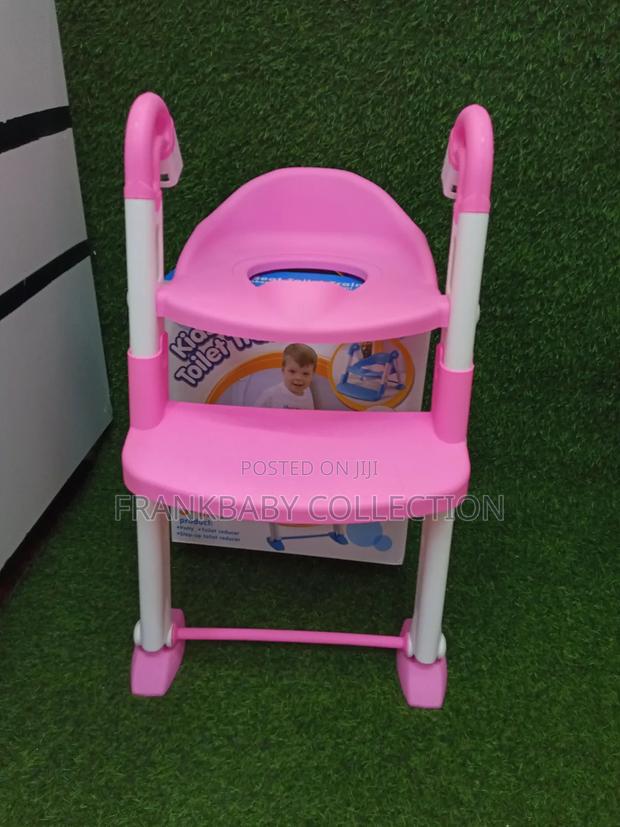 Foldable Potty Training Ladder - main view