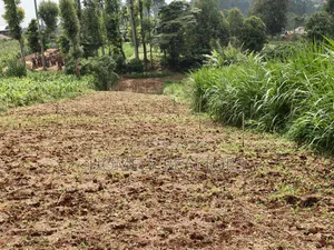 Quarter Acre Plot in Zambezi With Farming Water Connected