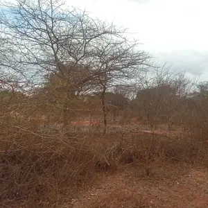 8,000 Acres Are Available for Sale in Maungu, Voi Town
