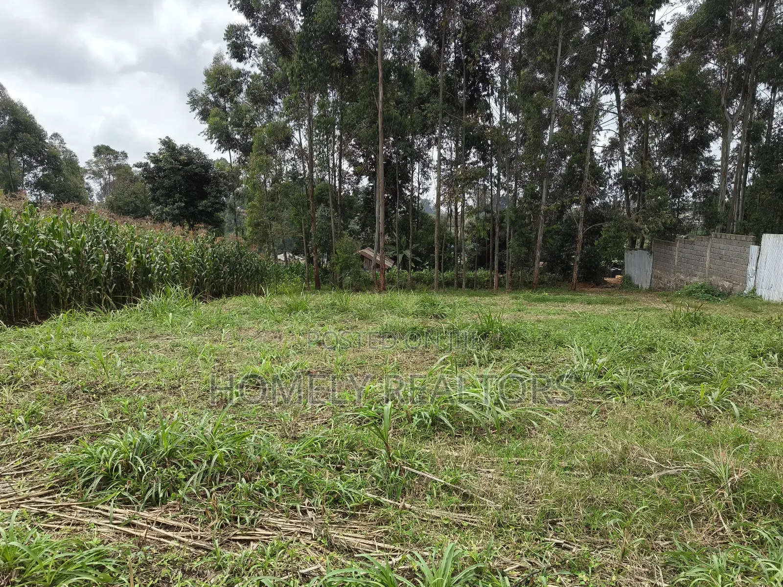 Large 8th Acre (50*120) Plot on Sale in Zambezi Near Tarmac