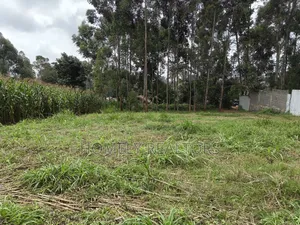 Large 8th Acre (50*120) Plot on Sale in Zambezi Near Tarmac