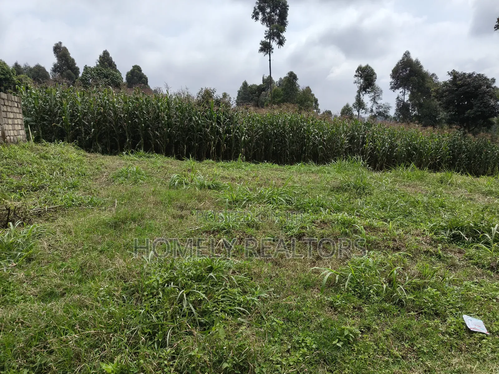 Large 8th Acre (50*120) Plot on Sale in Zambezi Near Tarmac