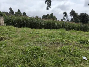 Large 8th Acre (50*120) Plot on Sale in Zambezi Near Tarmac