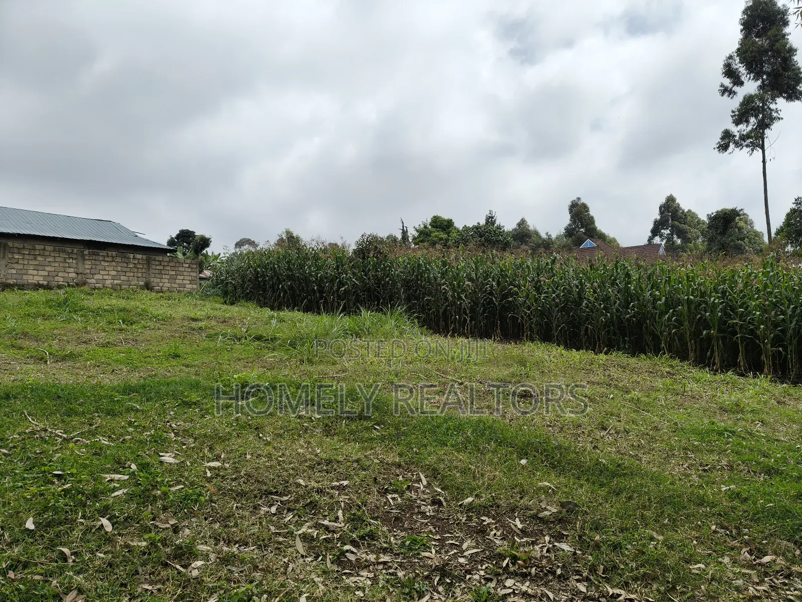 Large 8th Acre (50*120) Plot on Sale in Zambezi Near Tarmac