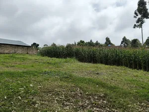 Large 8th Acre (50*120) Plot on Sale in Zambezi Near Tarmac