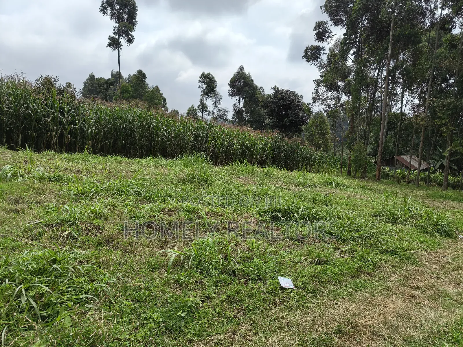 Large 8th Acre (50*120) Plot on Sale in Zambezi Near Tarmac