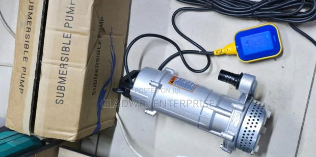 Qdx Shallow Well 1hp 32m Electric Submassible Pump - main view