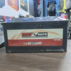 Din100 Automate Car Battery