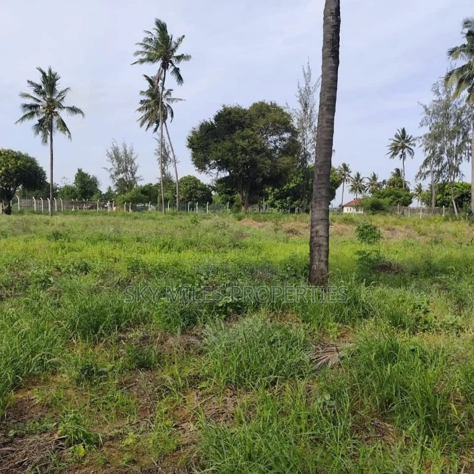 Mida Creek Watamu- Prime 5-acre Land For Sale