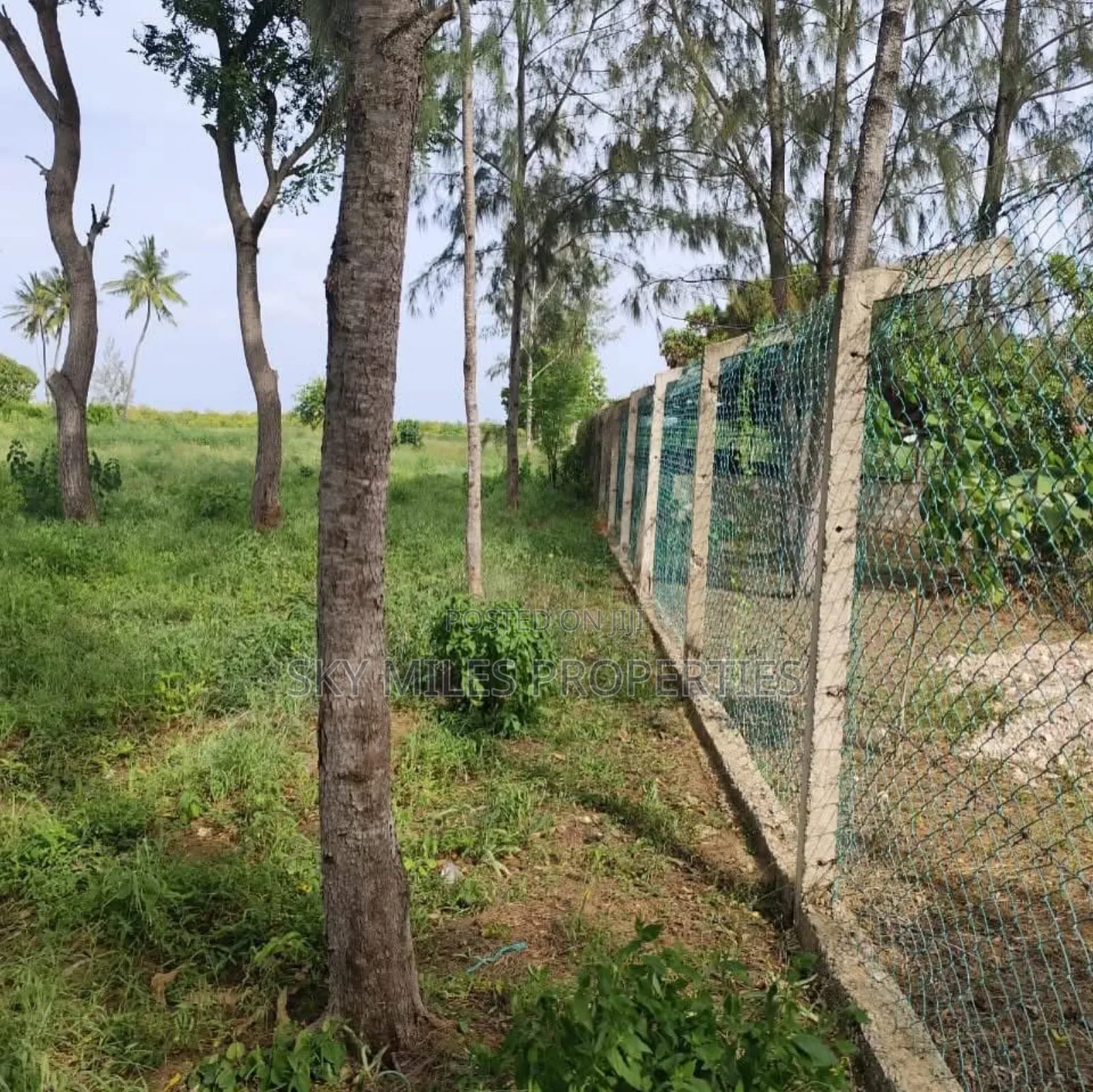 Mida Creek Watamu- Prime 5-acre Land For Sale