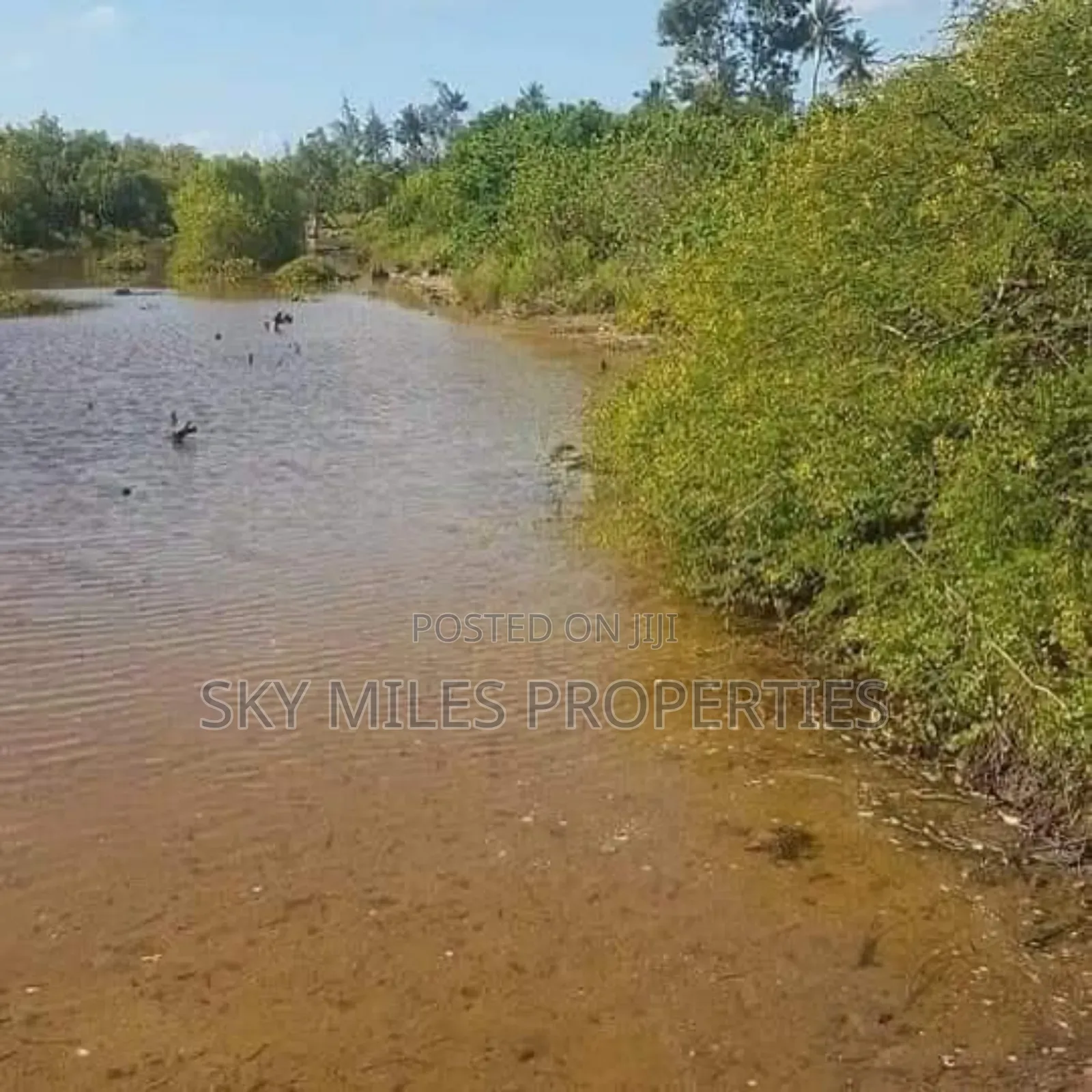 Mida Creek Watamu- Prime 5-acre Land For Sale
