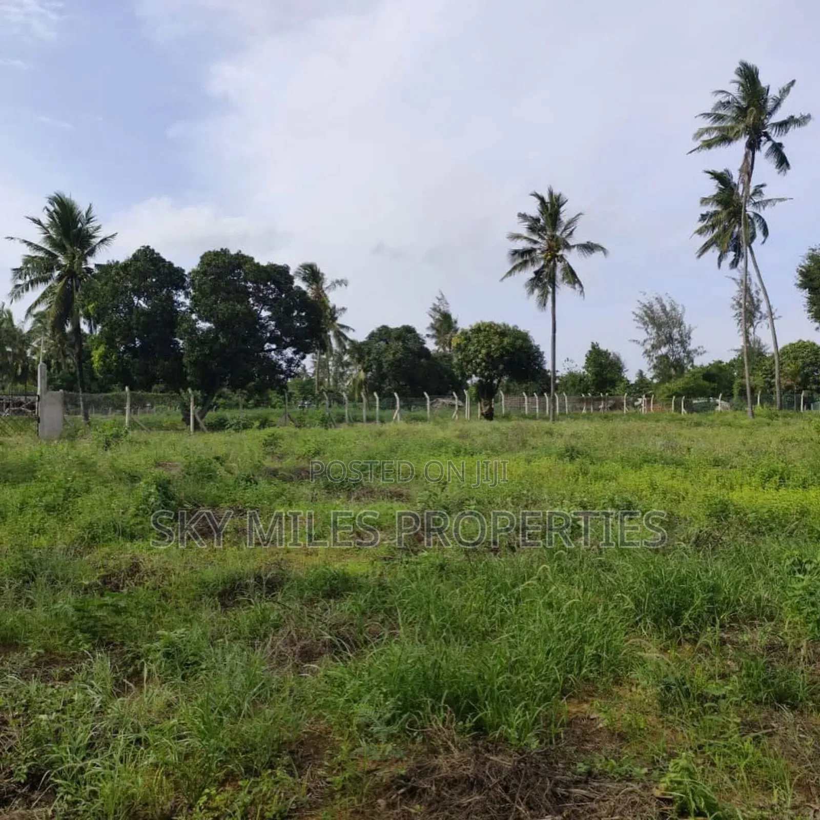 Mida Creek Watamu- Prime 5-acre Land For Sale