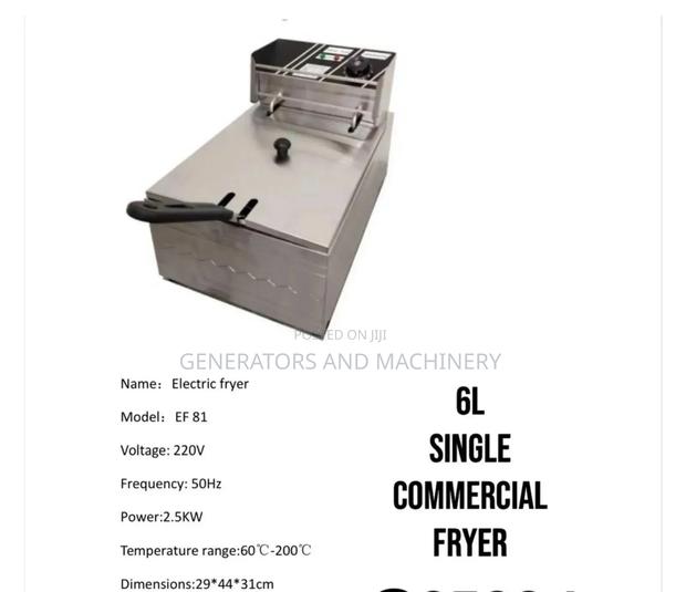 Single Commercial Fryer