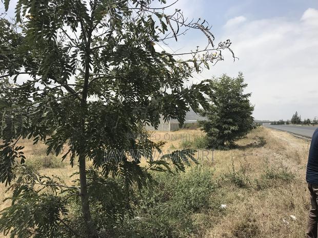 95 Acres on Tarmac Mombasa Rd - thumbnail 7