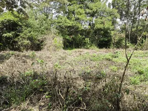 Quarter Acre Plot for Sale in Ngong, Vet Olepolos Road