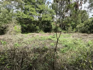 Quarter Acre Plot for Sale in Ngong, Vet Olepolos Road