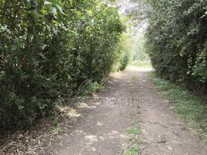 Quarter Acre Plot for Sale in Ngong, Vet Olepolos Road