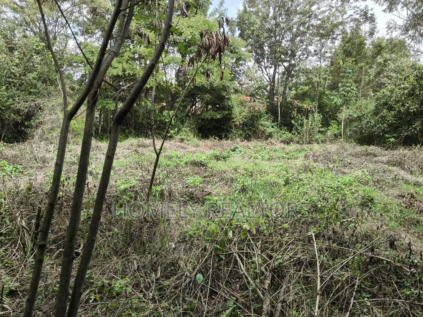 Quarter Acre Plot for Sale in Ngong, Vet Olepolos Road