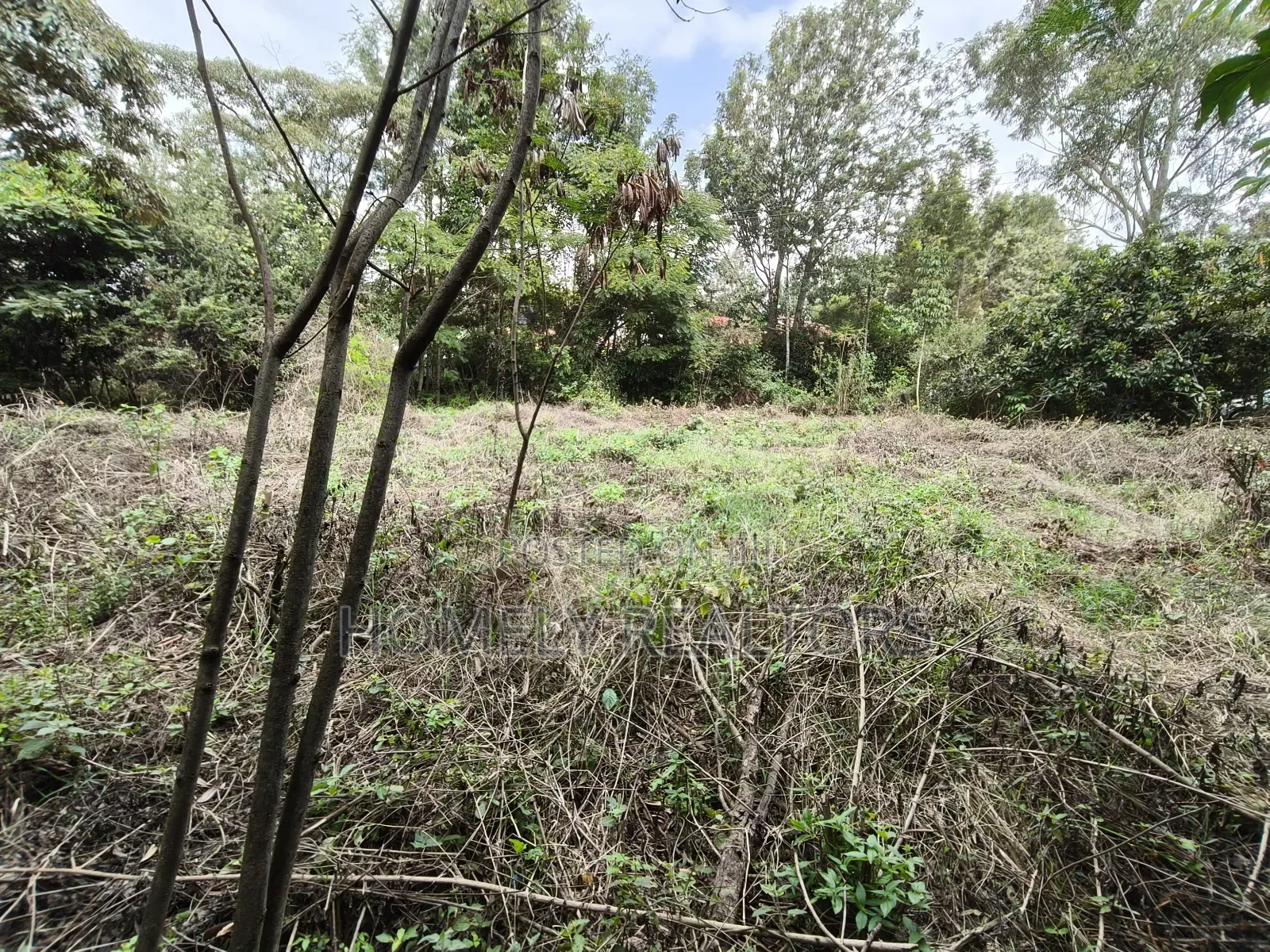 Quarter Acre Plot for Sale in Ngong, Vet Olepolos Road