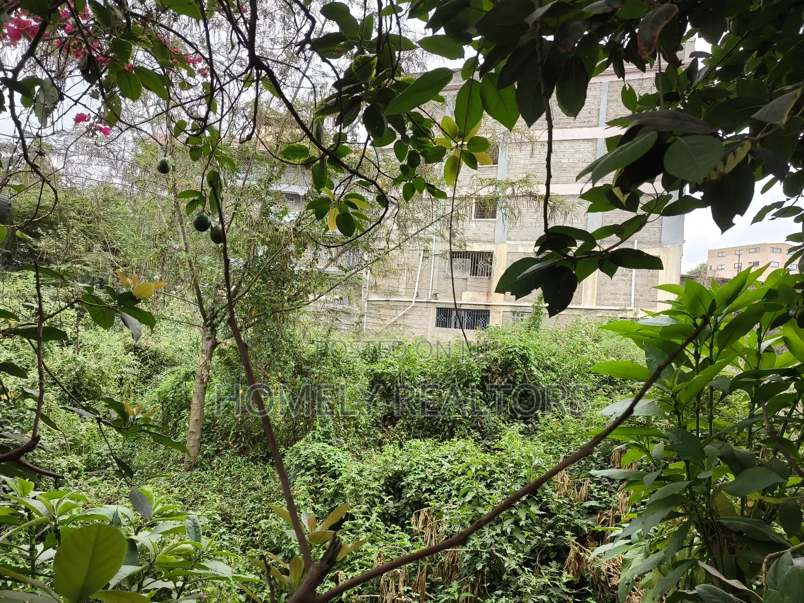 Commercial 8th Acre Plot In Ngong Vet 2nd Row From Ngong Rd