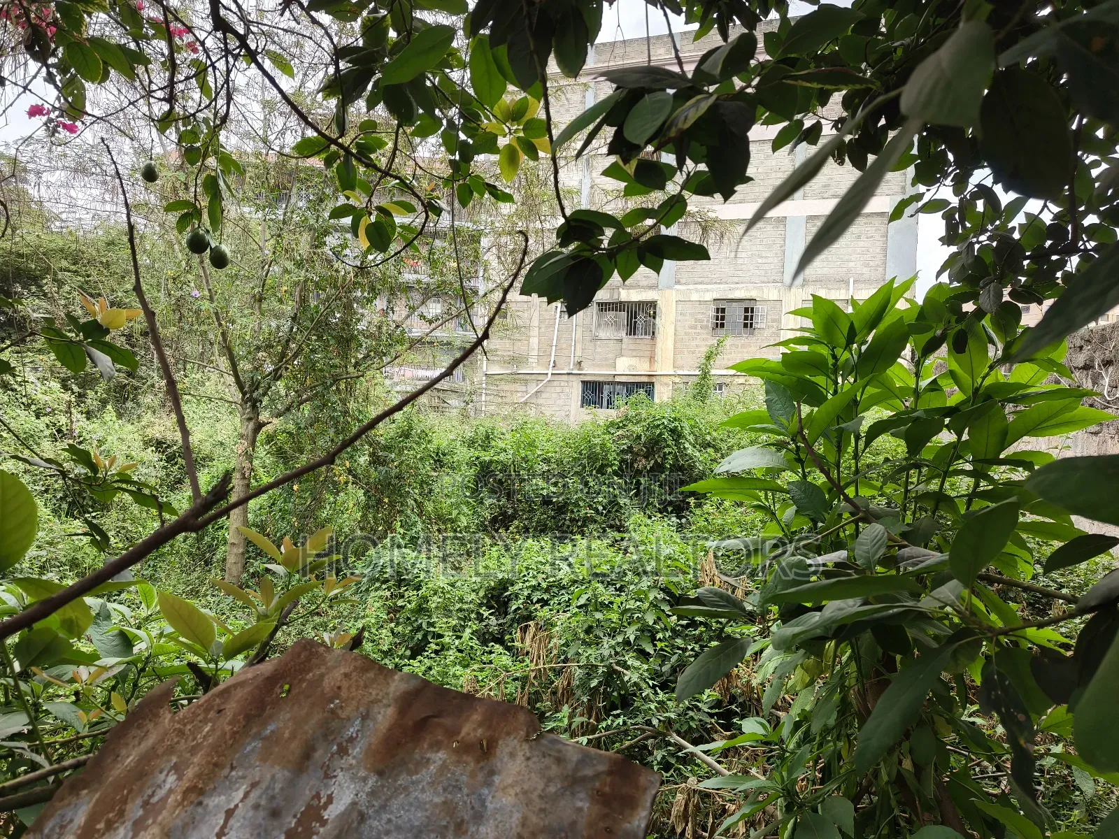Commercial 8th Acre Plot In Ngong Vet 2nd Row From Ngong Rd