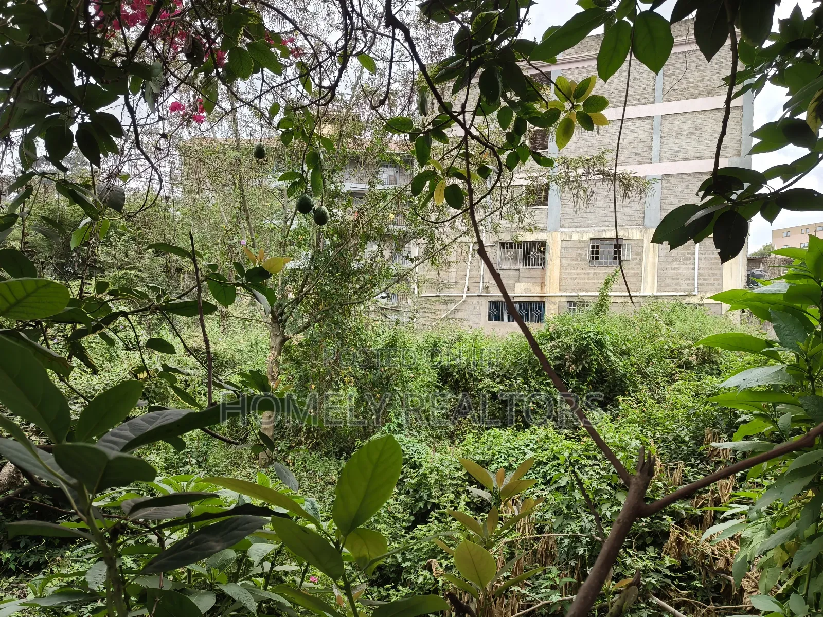 Commercial 8th Acre Plot In Ngong Vet 2nd Row From Ngong Rd