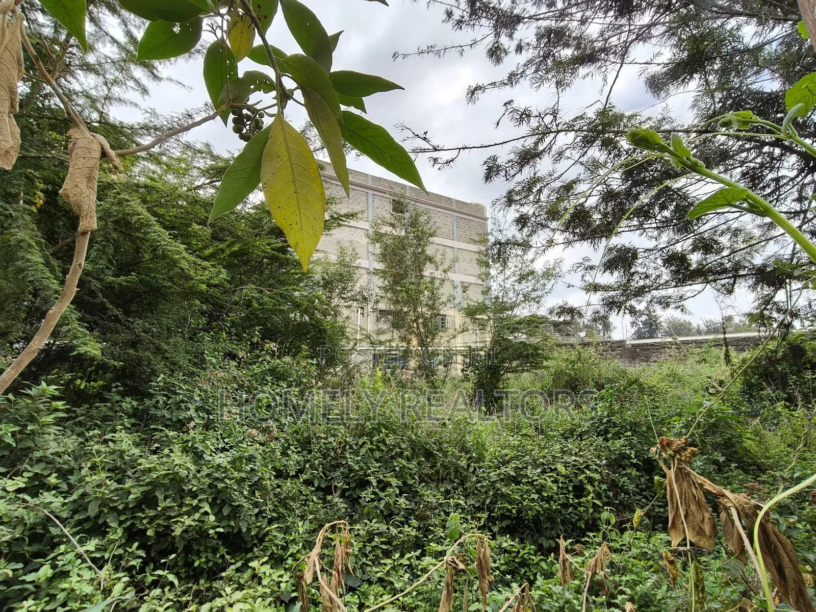 Commercial Quarter Acre in Ngong Vet 2nd Row From Ngong Road