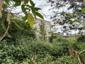 Commercial Quarter Acre in Ngong Vet 2nd Row From Ngong Road